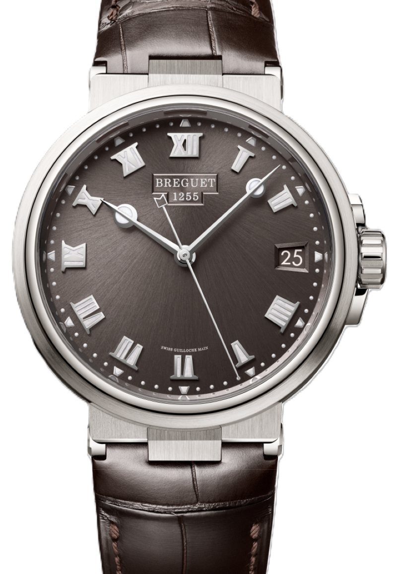 Breguet Marine Szary 40 mm Tytan 5517TI/G2/9ZU