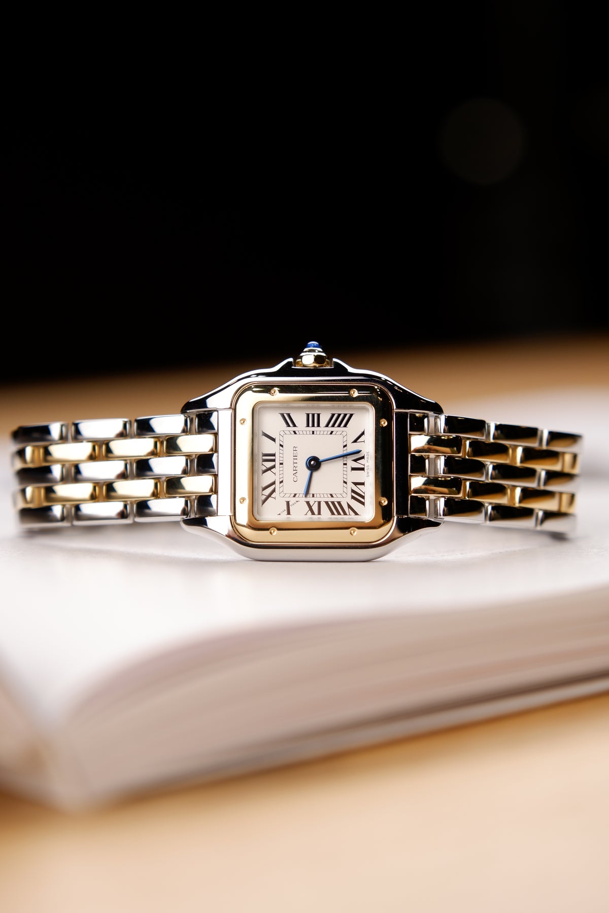 Cartier Panthère Srebrny 30 mm Złoto/Stal W2PN0018