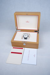 Omega Seamaster Aqua Terra 150 M Srebrny 41 mm Stal 220.12.41.21.02.002