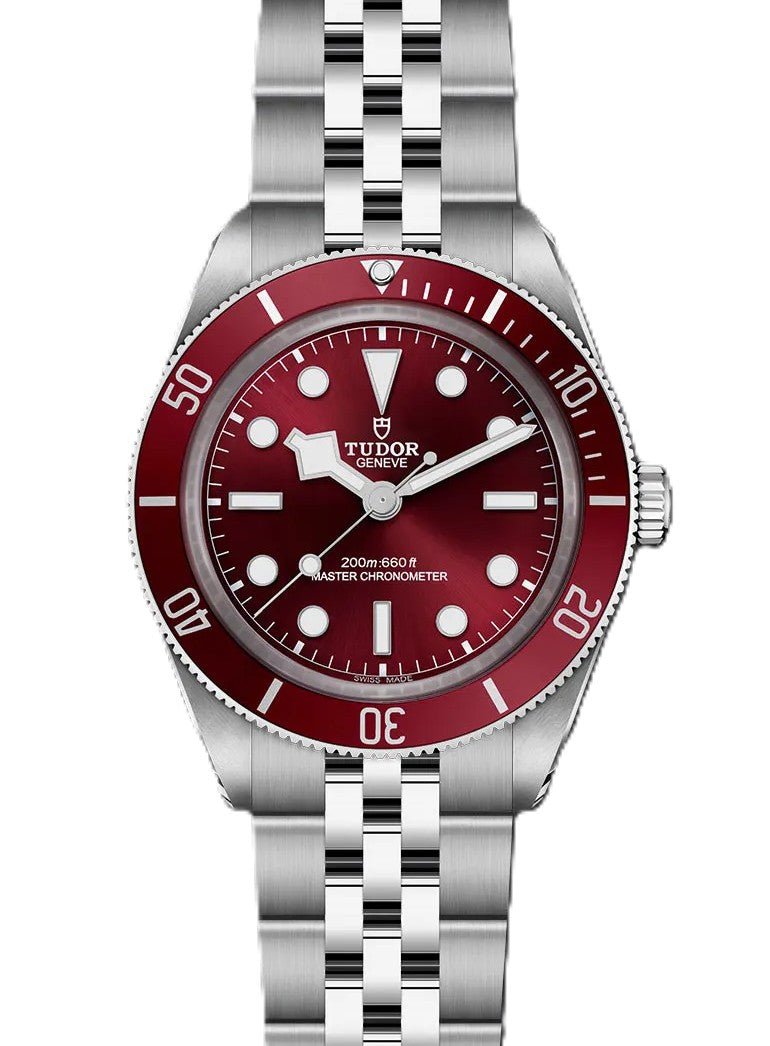 Tudor Black Bay Czerwony 39 mm Stal M7939A1A0RU-0001