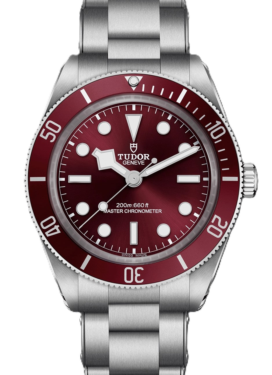 Tudor Black Bay Czerwony 39 mm Stal M7939A1A0RU-0002
