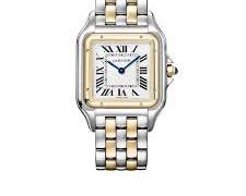 Cartier Panthere 27 mm Stal i Zloto W2PN0016