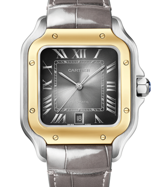 Cartier Santos Szary 40 mm Złoto/Stal W2SA0030