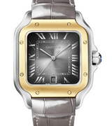 Cartier Santos Szary 40 mm Złoto/Stal W2SA0030