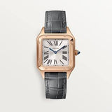 Cartier Santos 40 mm Zloto WGSA0022